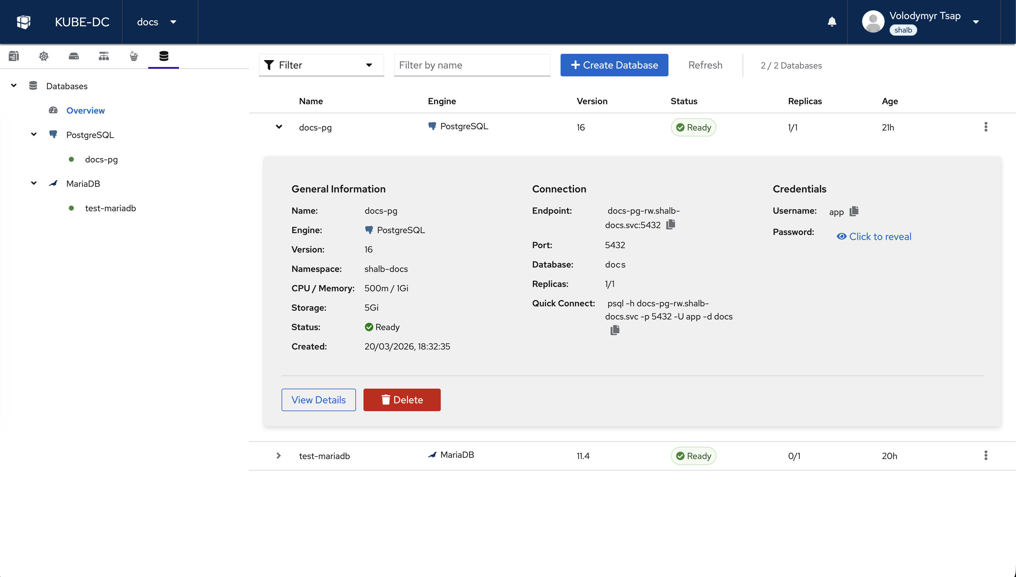 Kube-DC database-as-a-service screen showing PostgreSQL and MariaDB connection details